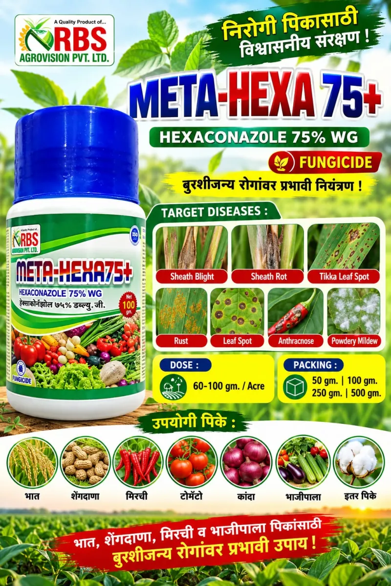 meta hexa 75+